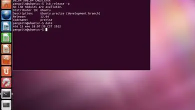 Photo of Come installare pacchetti o programmi in Ubuntu dal terminale?