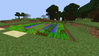 Photo of Come ottenere e piantare la canna da zucchero in Minecraft – Colture di canna da zucchero