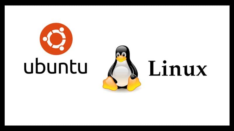 logo ubuntu e pinguino linux con sfondo bianco