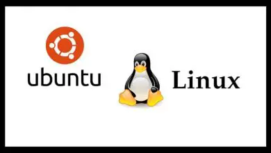 Photo of Come scaricare e installare facilmente l’antivirus Comodo per Linux Ubuntu