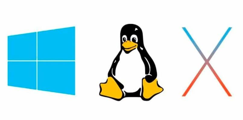 microsoft windows linux pinguino x finestra