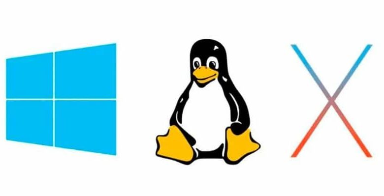 microsoft windows linux pinguino x finestra