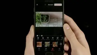 Photo of Come clonare ed eliminare oggetti nelle foto di Snapchat | Android e iOS
