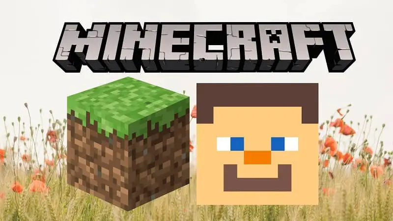 Icona di Minecraft faccia di un personaggio 