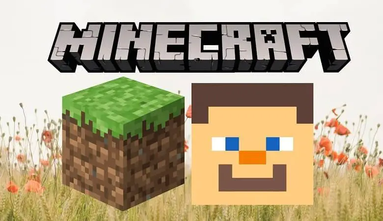 Icona di Minecraft faccia di un personaggio