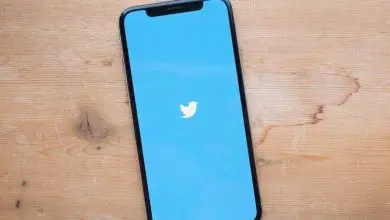 Photo of Come scaricare i video di Twitter sul cellulare iPhone?