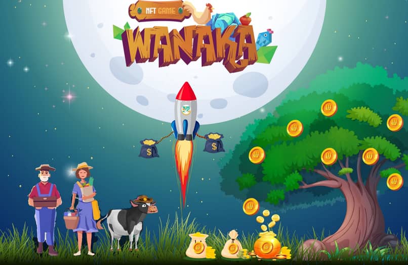 videogioco della fattoria wanaka