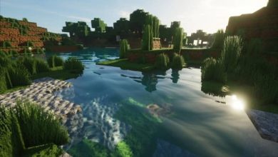 Photo of Perché tutto in Minecraft è quadrato o come i pixel? – Conoscere la risposta