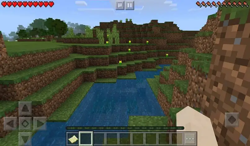 paesaggio fluviale in Minecraft originale