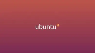 Photo of Come fare un backup o un backup in Ubuntu