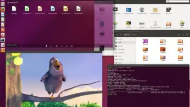 Photo of Quante versioni del sistema operativo Ubuntu esistono e i loro requisiti?