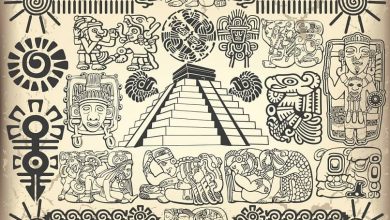 Photo of Come funziona e viene utilizzato il traduttore di lingua Maya?