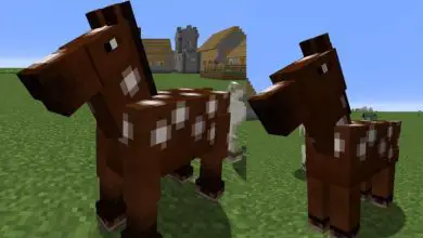 Photo of Come domare un cavallo, un pappagallo, una volpe, un lama e altri animali in Minecraft