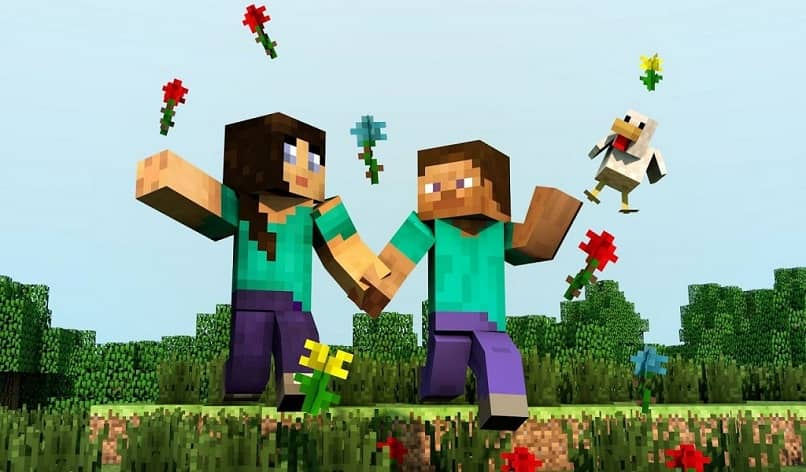 coppia romantica di minecraft