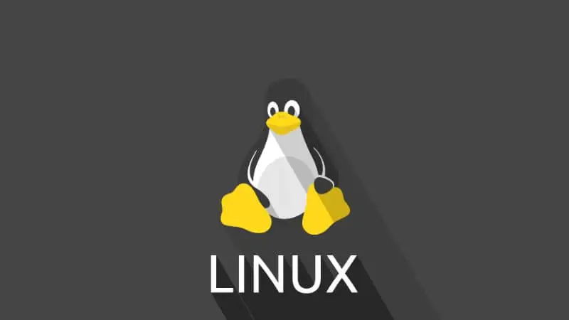 pinguino logo linux su sfondo nero