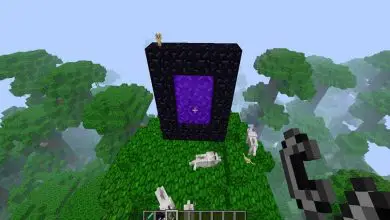 Photo of Come creare o creare un accendino o una pietra focaia in Minecraft? – Accendino artigianale