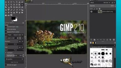 Photo of Come scaricare gratuitamente l’ultima versione di GIMP per PC Full Spanish