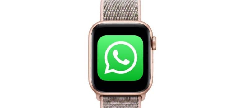 guarda il logo whatsapp sfondo bianco