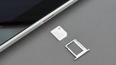 Photo of Come inserire o inserire una scheda SIM in un iPad passo dopo passo