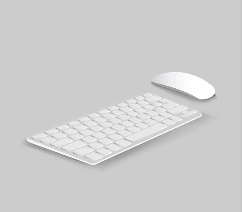 mouse tastiera bianco e grigio