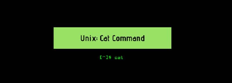 selezione della casella di comando di unix cat su sfondo nero verde