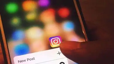Photo of Come sapere se un account Instagram è reale o ufficiale Come faccio a distinguere se è falso o falso?