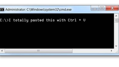 Photo of Come riparare CTRL C e CTRL V se non funziona durante la copia e incolla in Windows?