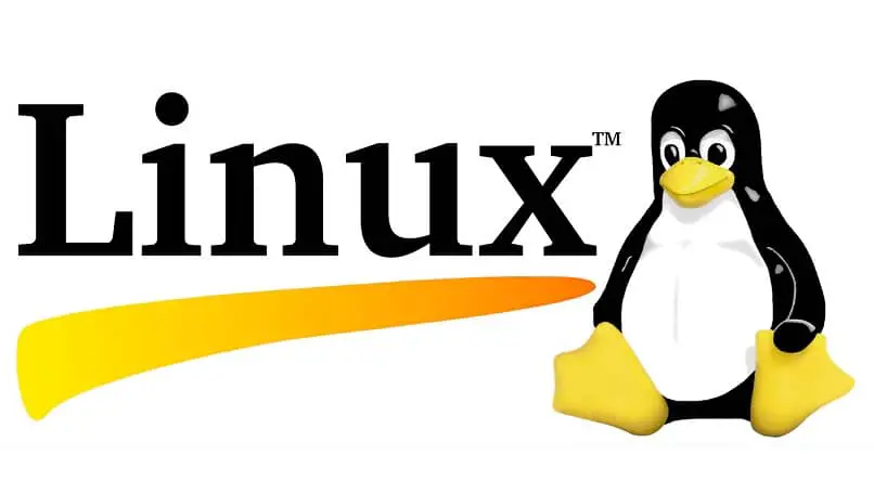 usa i comandi del terminale Linux