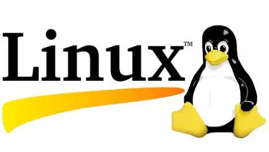 Photo of Come mostrare i file nascosti nel terminale Linux