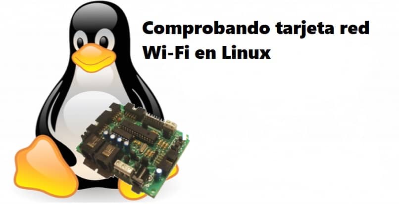 controllo della scheda di rete nel sistema Linux