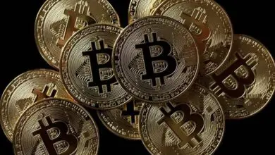 Photo of Bitcoin: il prezzo potrebbe raggiungere $ 50.000