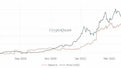 Photo of Bitcoin ed Ethereum: cosa ci dicono queste traiettorie di prezzo?
