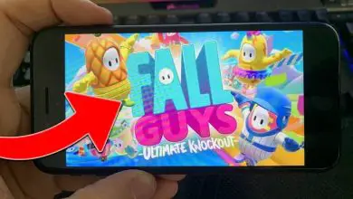 Photo of Quando uscirà Fall Guys Ultimate Knockout per Xbox, Android e iPhone?