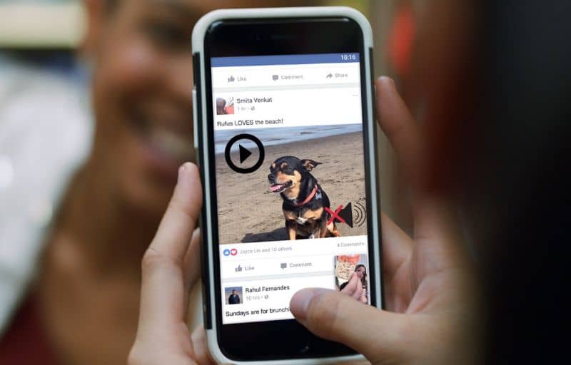 Video Facebook del cane