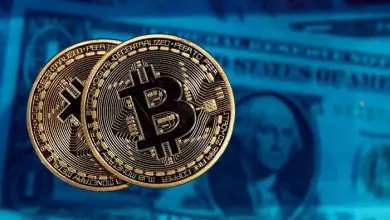Photo of Bitcoin: la criptovaluta non appartiene a una bolla economica