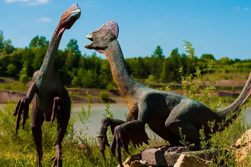 modi per raccogliere fibre o pelle di dinosauro 