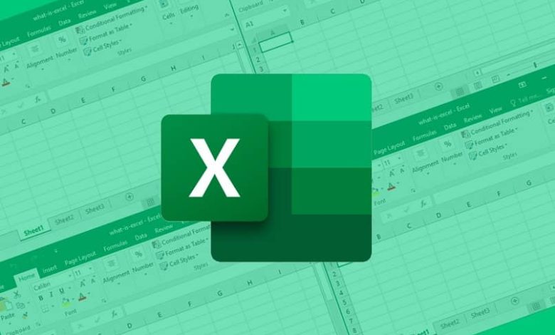 diversi fogli di calcolo logo excel programma