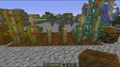 Photo of Come piantare pomodori in Minecraft – Creazione mod rustica
