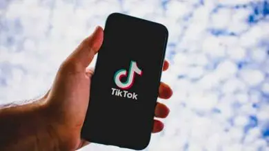 Photo of Come mettere una foto del profilo trasparente su TikTok in modo semplice