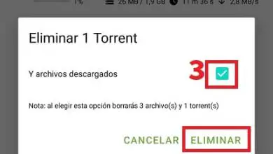 Photo of Come scaricare file Torrent su Android in modo semplice