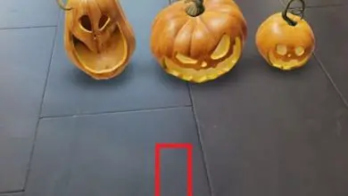 Photo of Come mettere le zucche di Halloween in 3D con Google