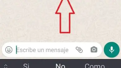Photo of Come mettere il corsivo in WhatsApp facile e veloce