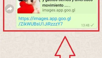 Photo of Come condividere le gif di Google su WhatsApp Easy