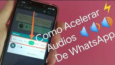 Photo of Come velocizzare l’audio di WhatsApp senza app