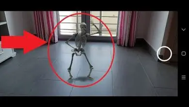 Photo of Come evocare un fantasma 3D su Google per Halloween