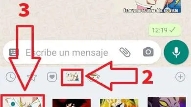 Photo of Come inviare adesivi Dragon Ball tramite WhatsApp