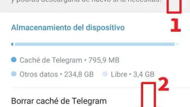 Photo of Telegram CHIUDE SOLO Soluzione facile e veloce