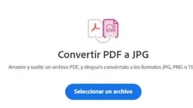 Photo of Come convertire da PDF a immagine