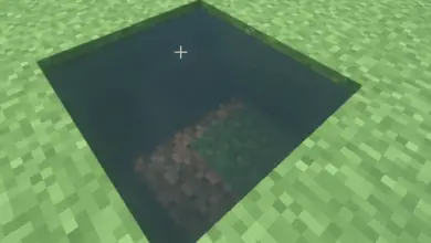 Photo of Come creare acqua infinita in Minecraft