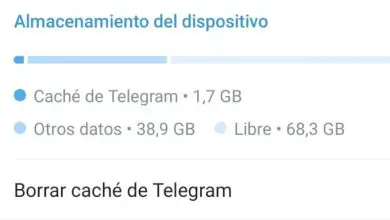 Photo of Come svuotare la cache di Telegram